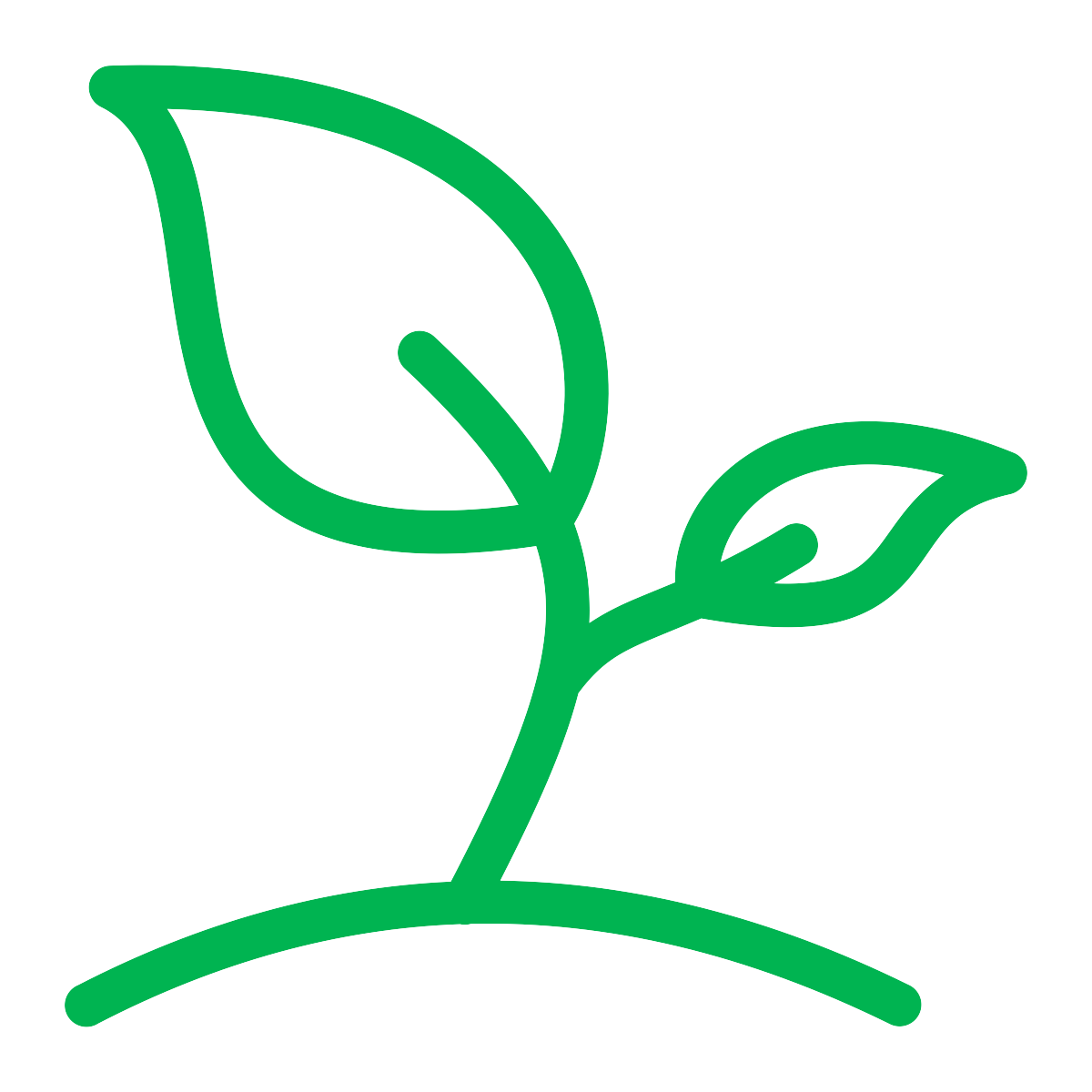 Biobased raw materials