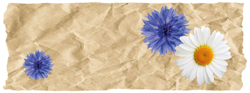 AmerTouch Paperlike Printing